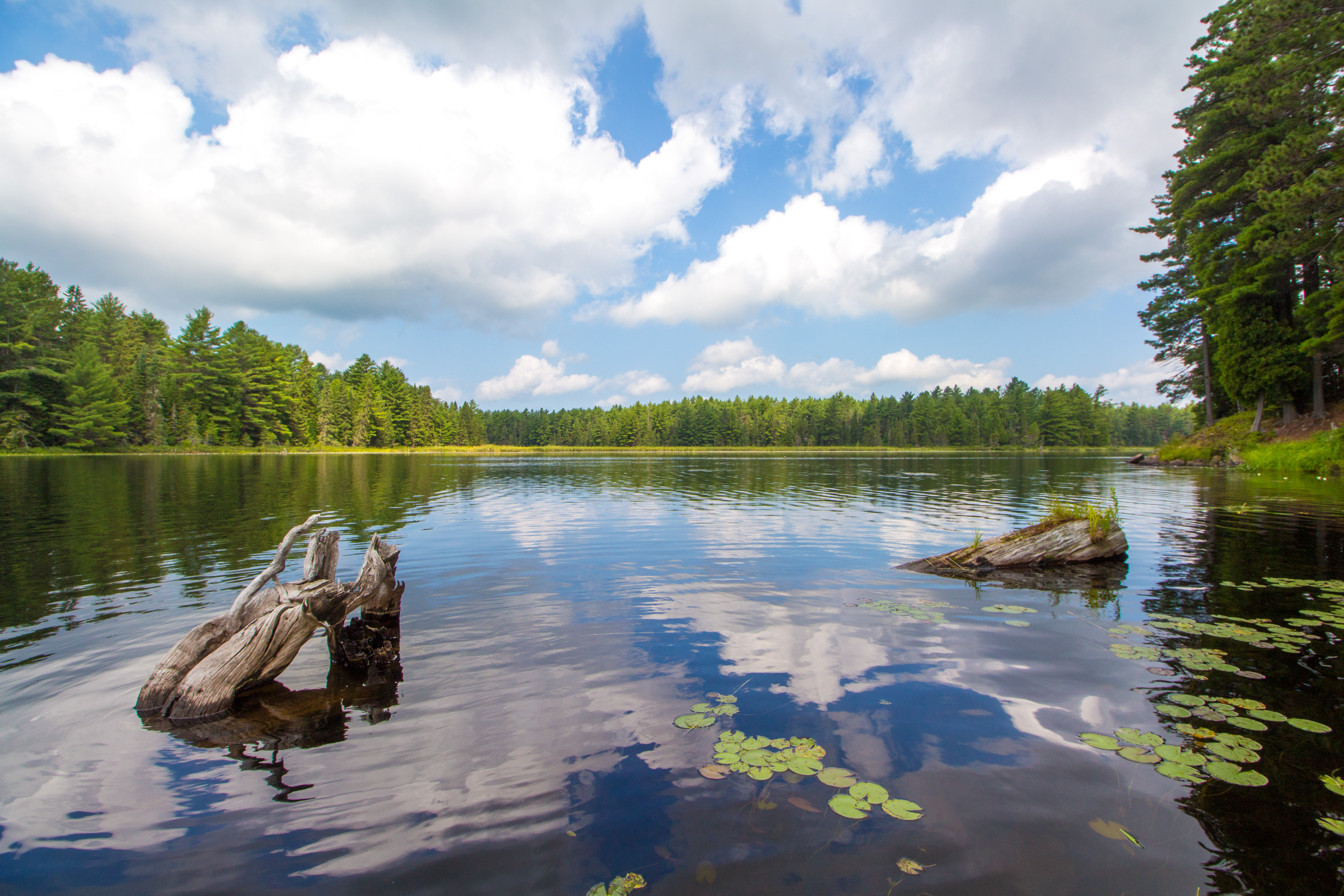 Tattler Lake